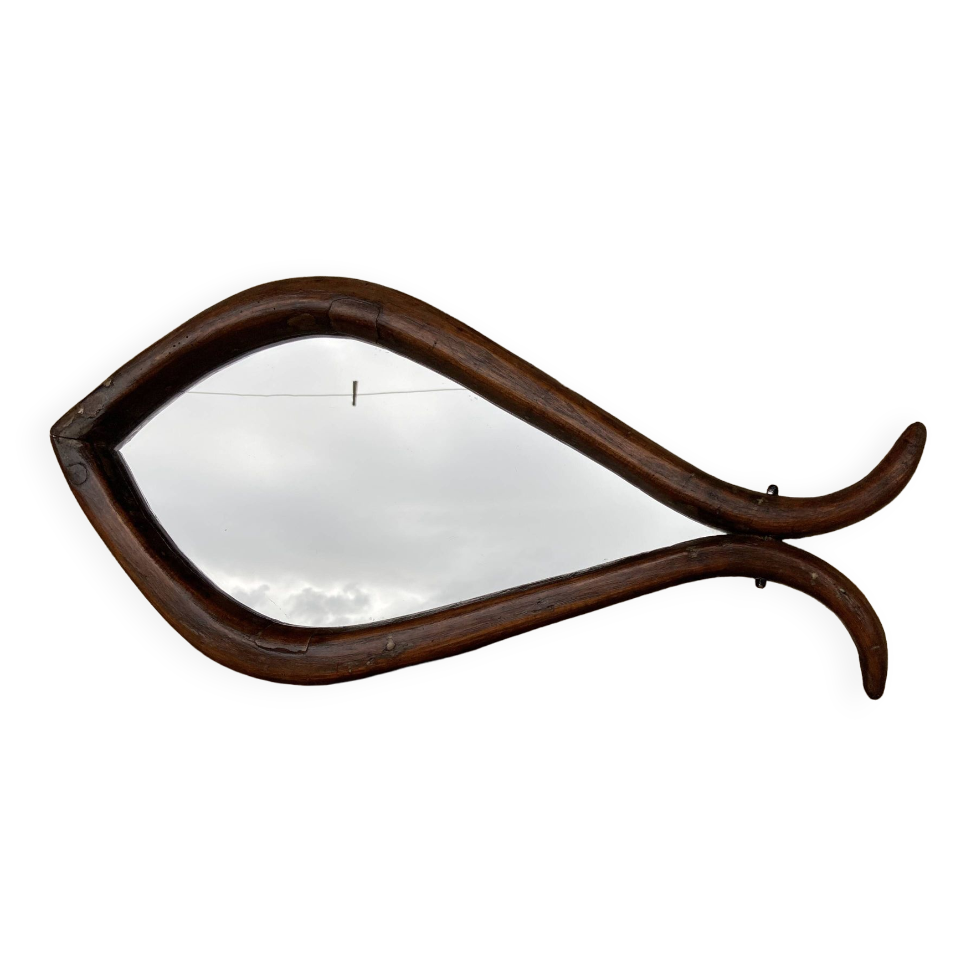 Mirror with fish-shaped wooden frame