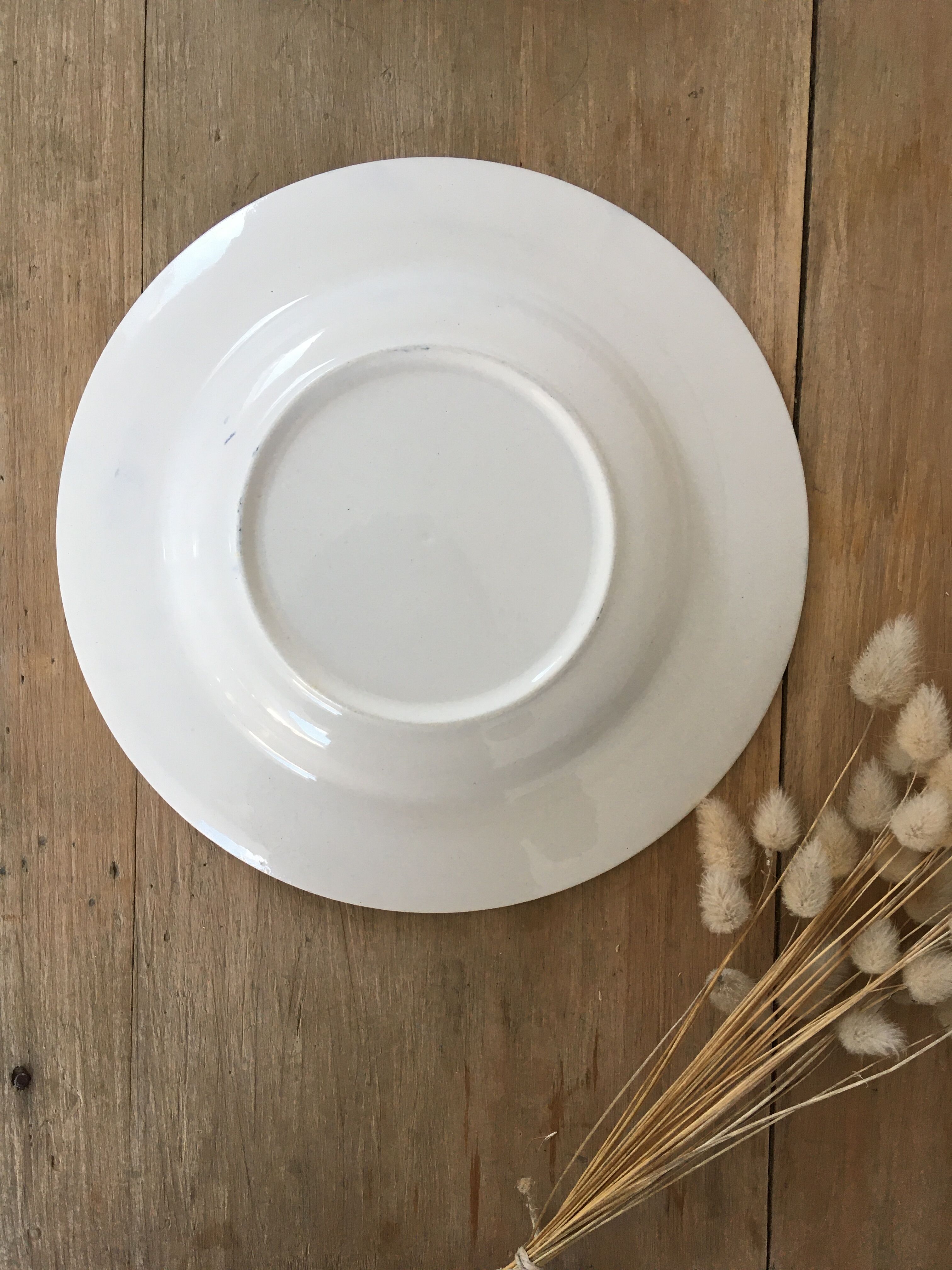 Hollow plates blue flowers