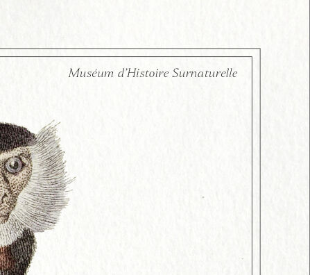 2 Chimeras lithography animal engraving