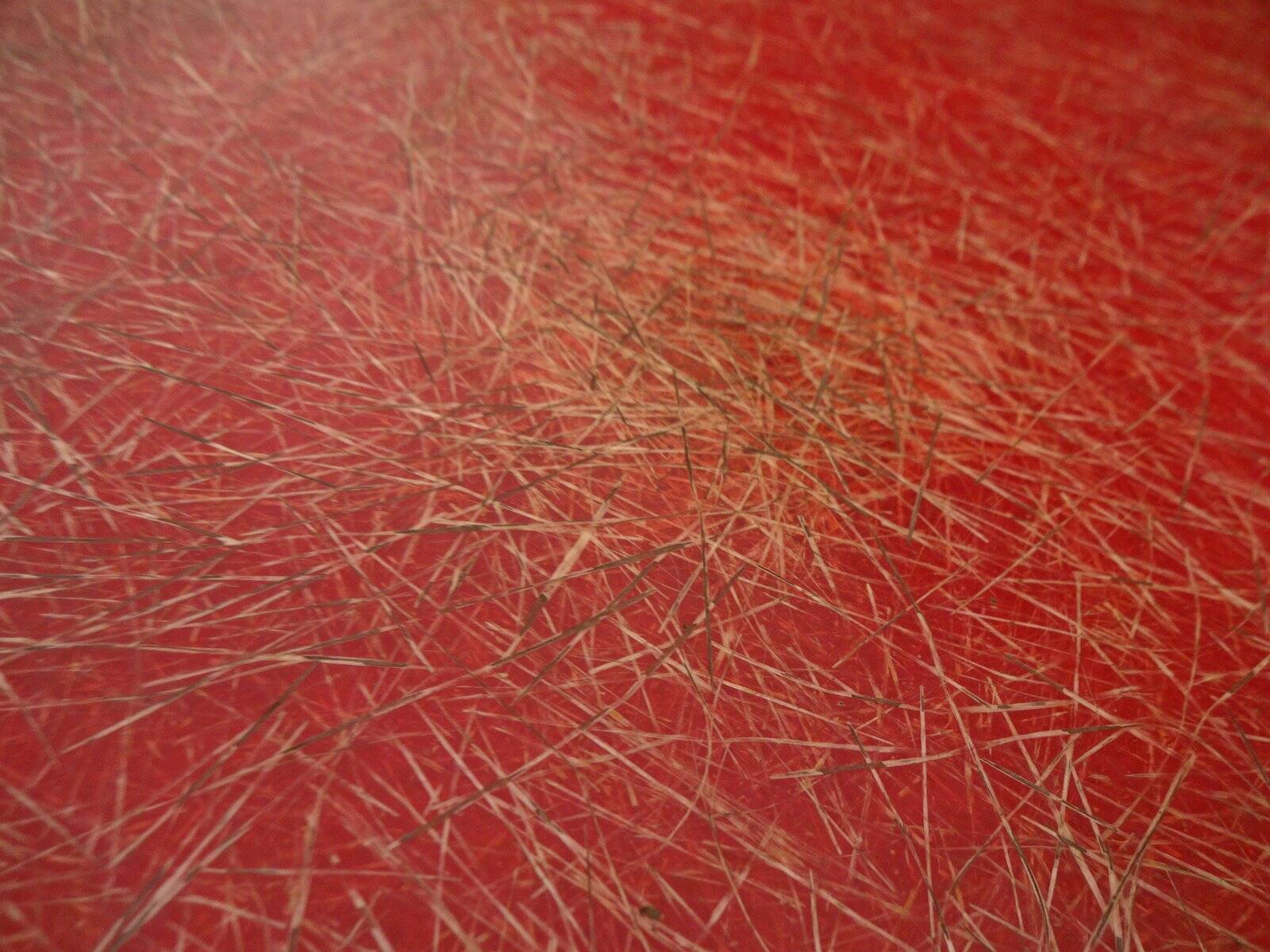 Set of French Fiberglass Side Chairs, 1960s