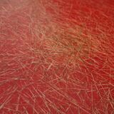 Set of French Fiberglass Side Chairs, 1960s