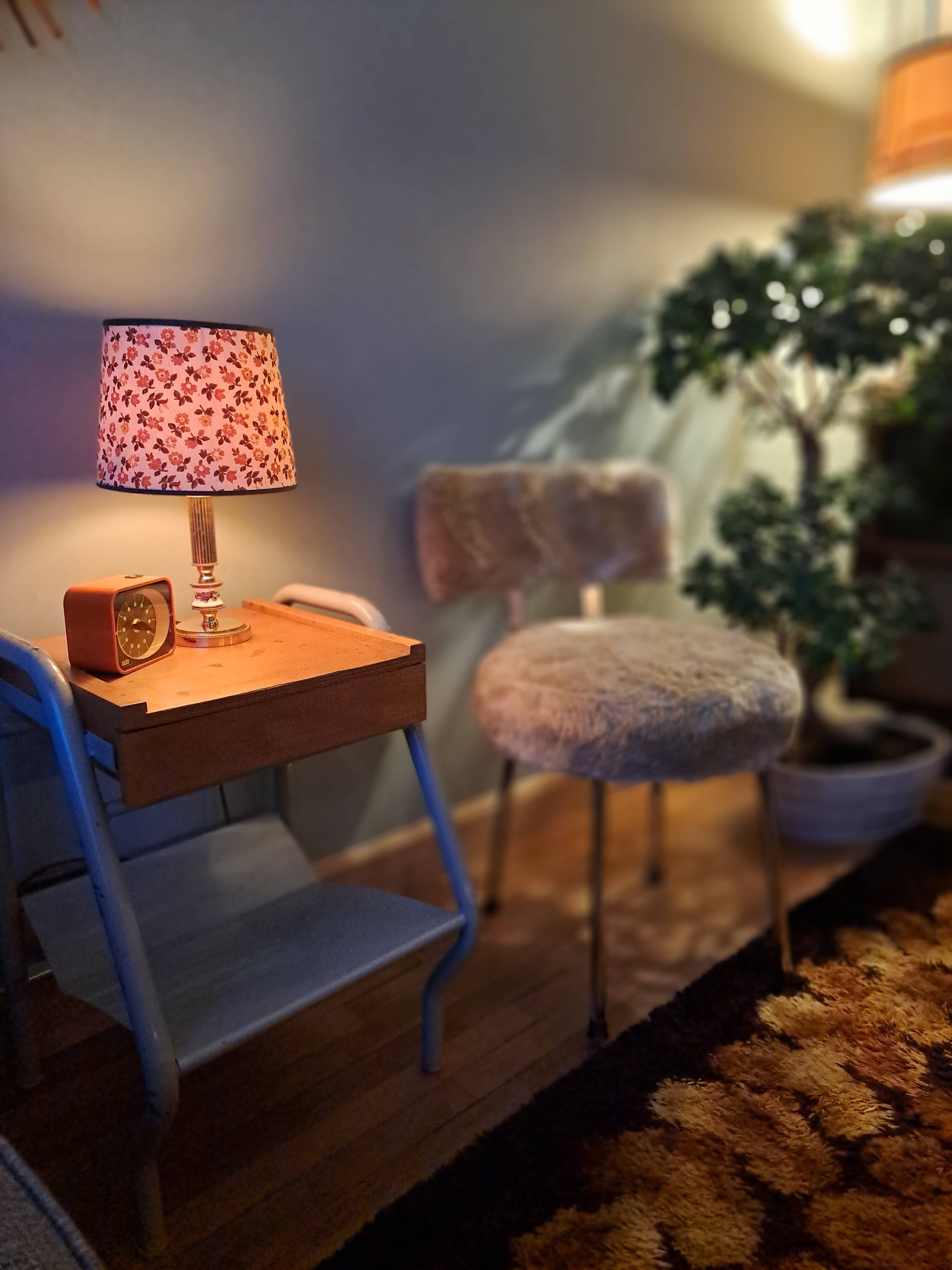 Chzise moumoute 1960