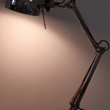 Articulated industrial style desk lamp
