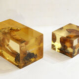 2 inclusions resin Mushrooms