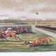 Horse racing gouache painting John Grant