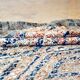 Moroccan Berber rug Beni Mguild Vintage 286 x 195 cm