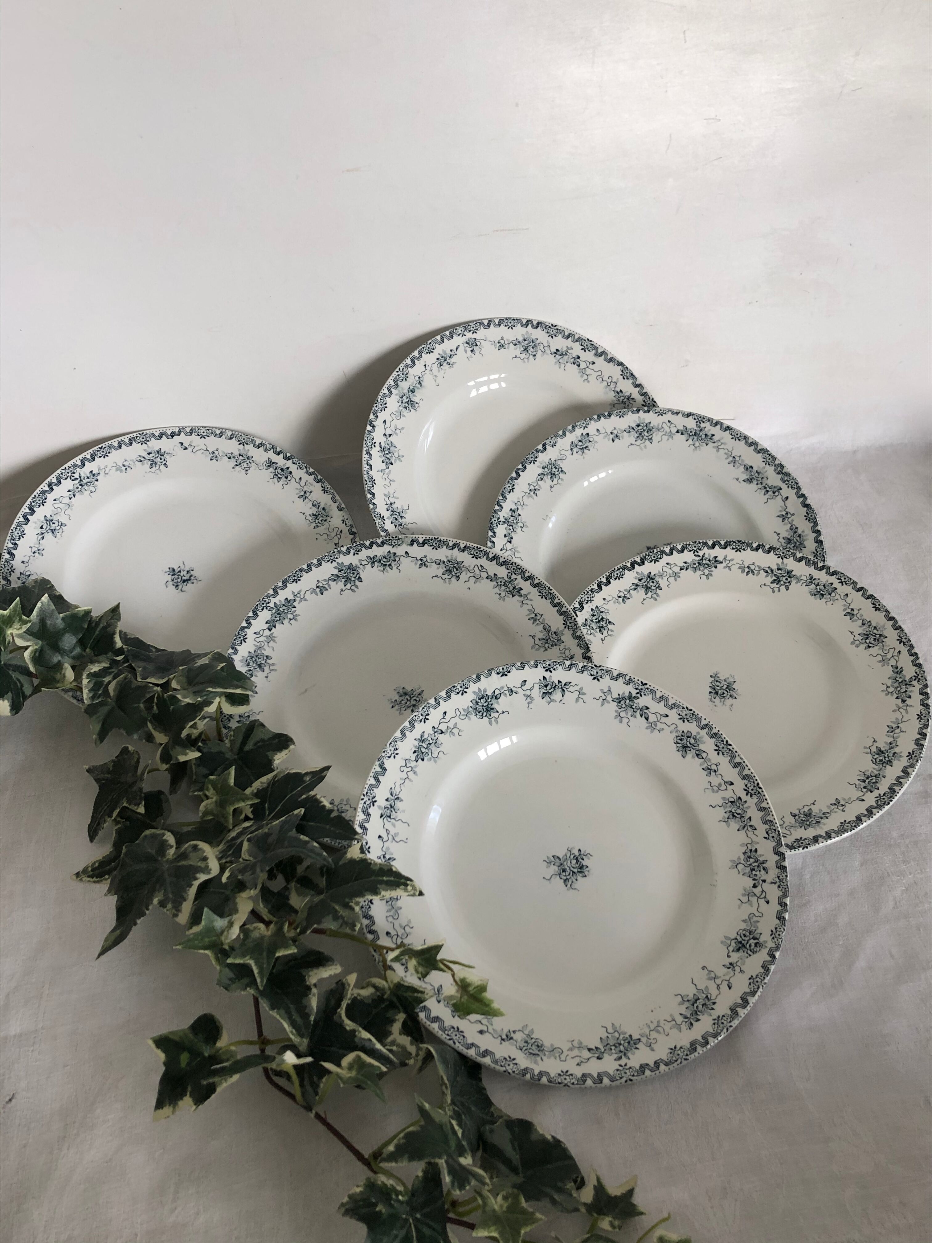 6 flat plates - Saint Amand - Argenton model