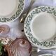 6 Longchamp ironstone dessert plates, Treviso pattern, green earthenware