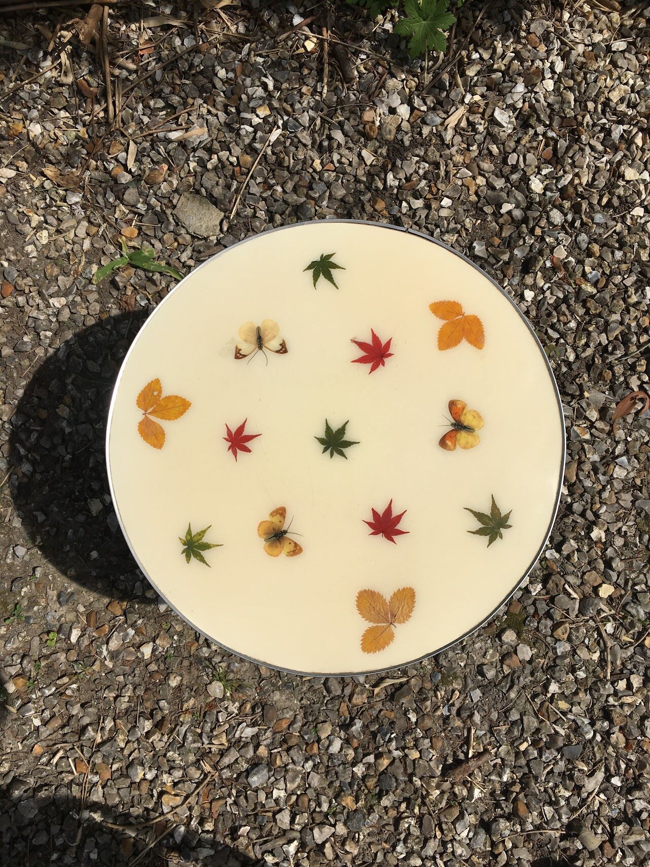 Resin herbarium table