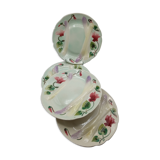 Asparagus plates in dabbling