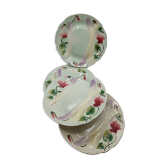 Asparagus plates in dabbling