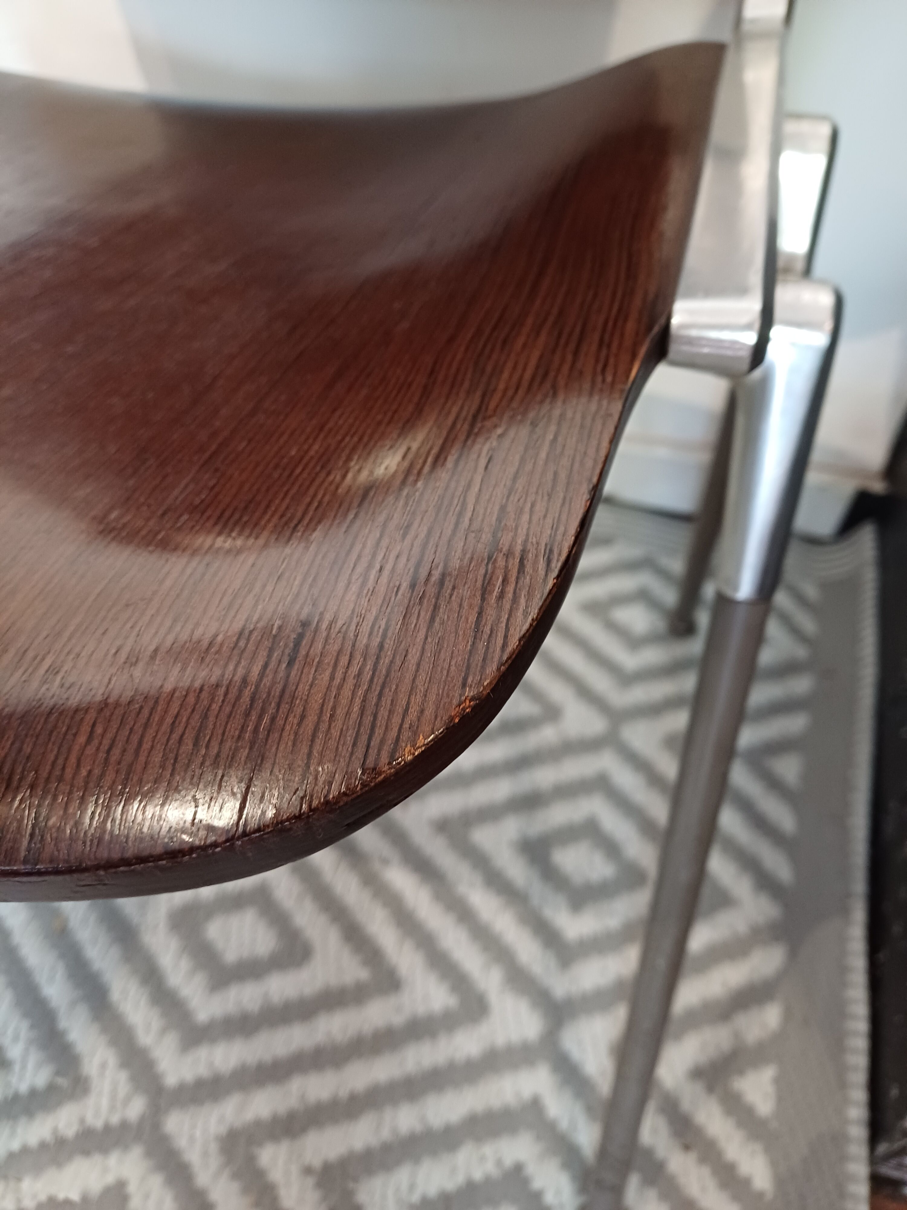 Set of 2 office chairs DSC 106 design Piretti for Castelli, 1965