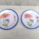 Porcelain plates with floral decoration