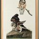 Affiche sur la Chevêchette d’Amérique, d’après une gravure ancienne de 1827