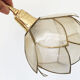 Pair of mother-of-pearl flower sconces
