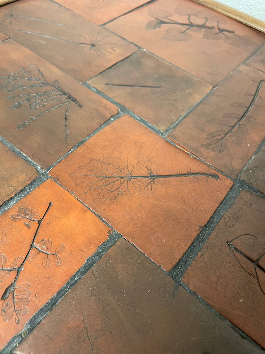 Herbarium coffee table