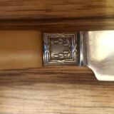 Set of 10 horn handle knives