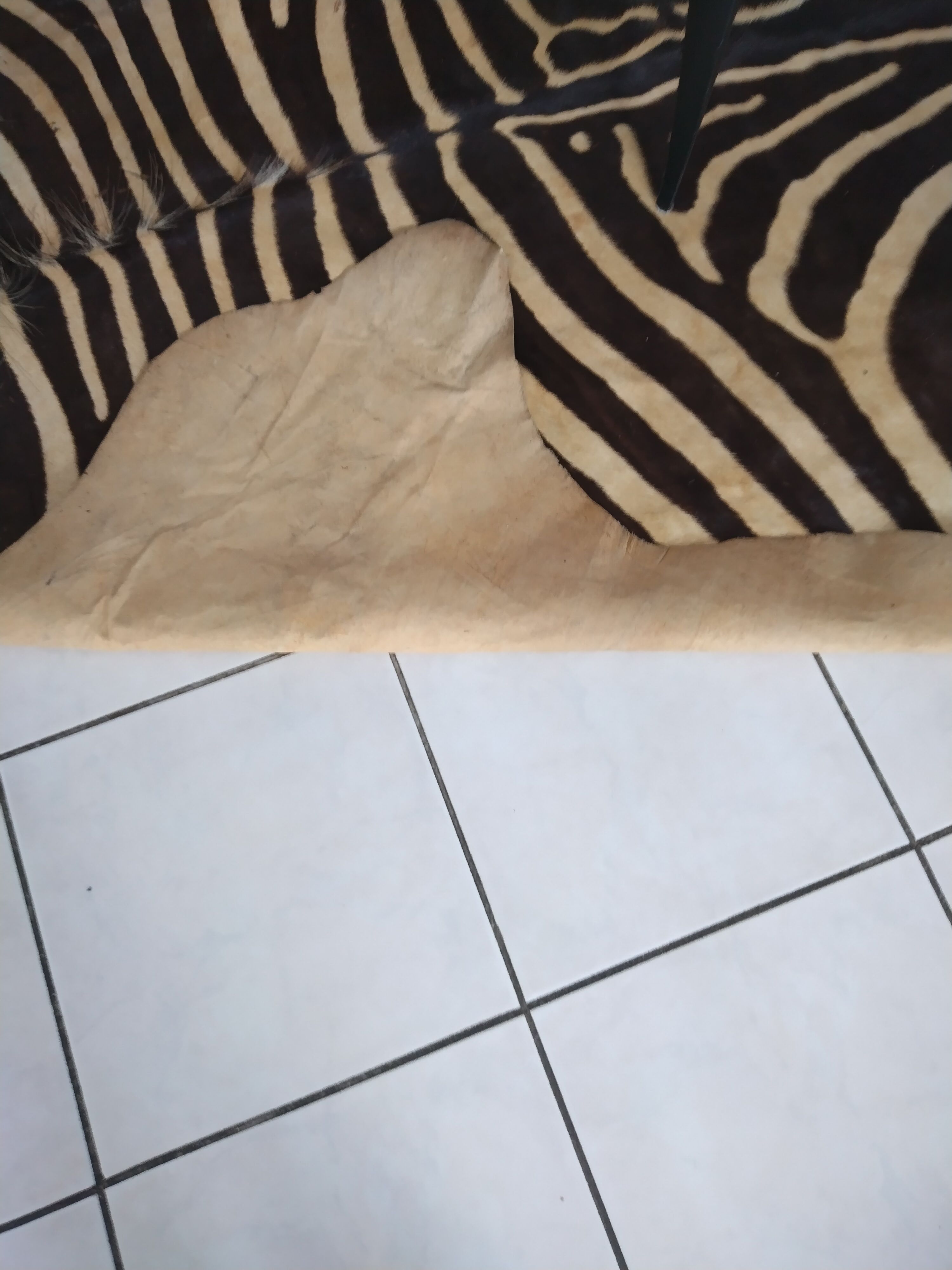 Zebra skin