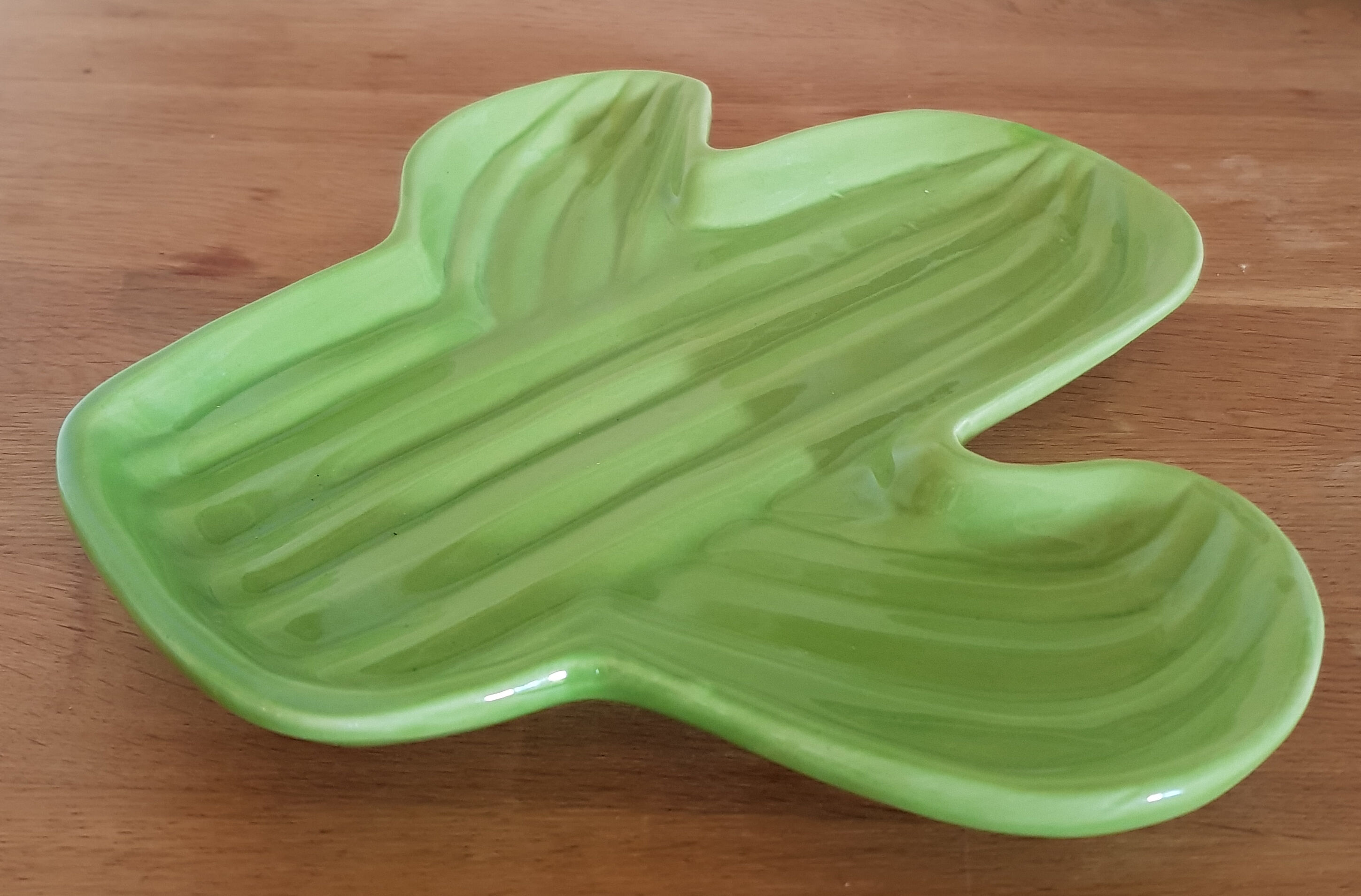 Empty vintage pocket cactus shape