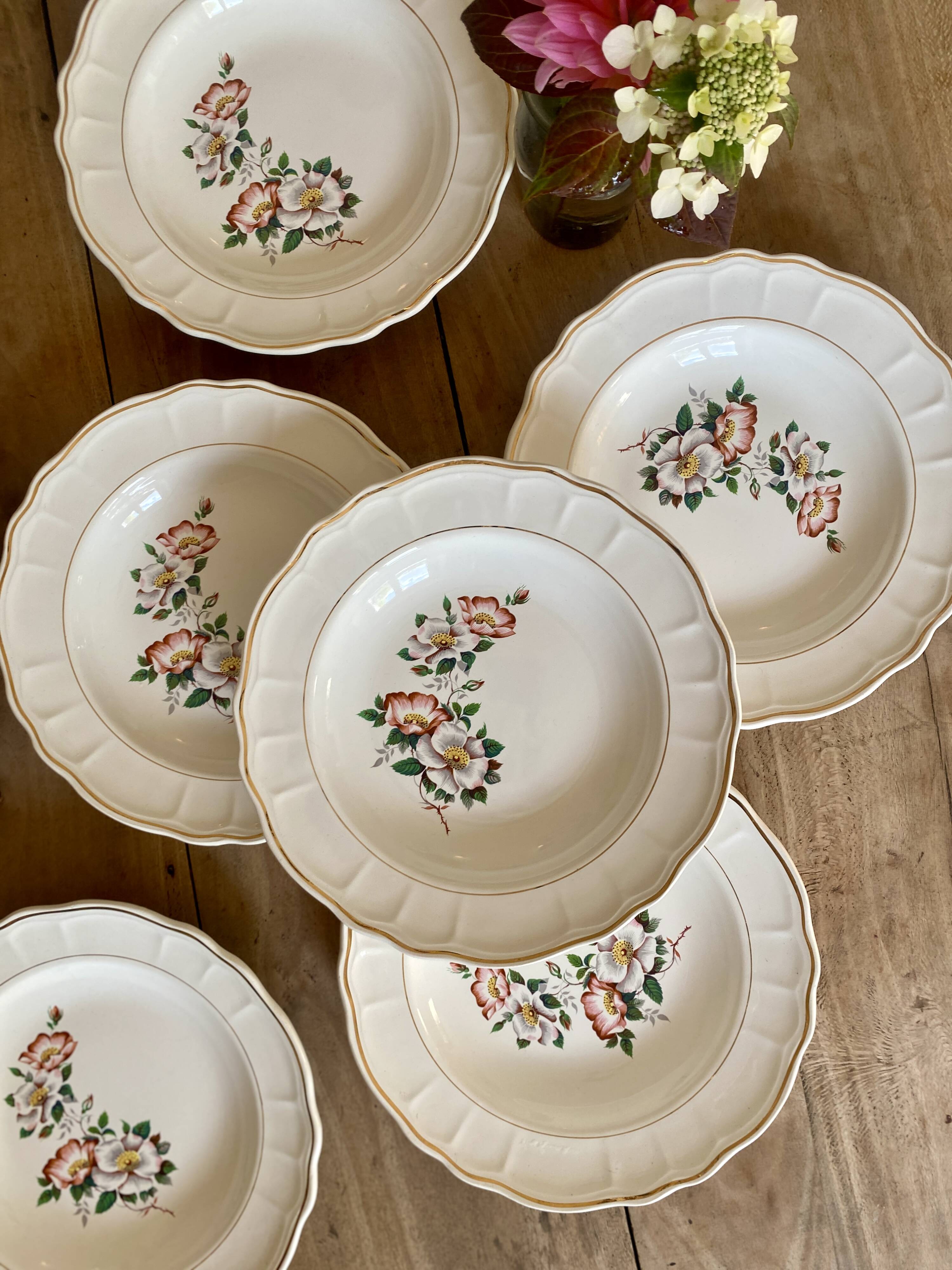 Set of 6 vintage Salins soup plates