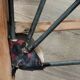 Fauteuil free span dans le goût de pierre guariche