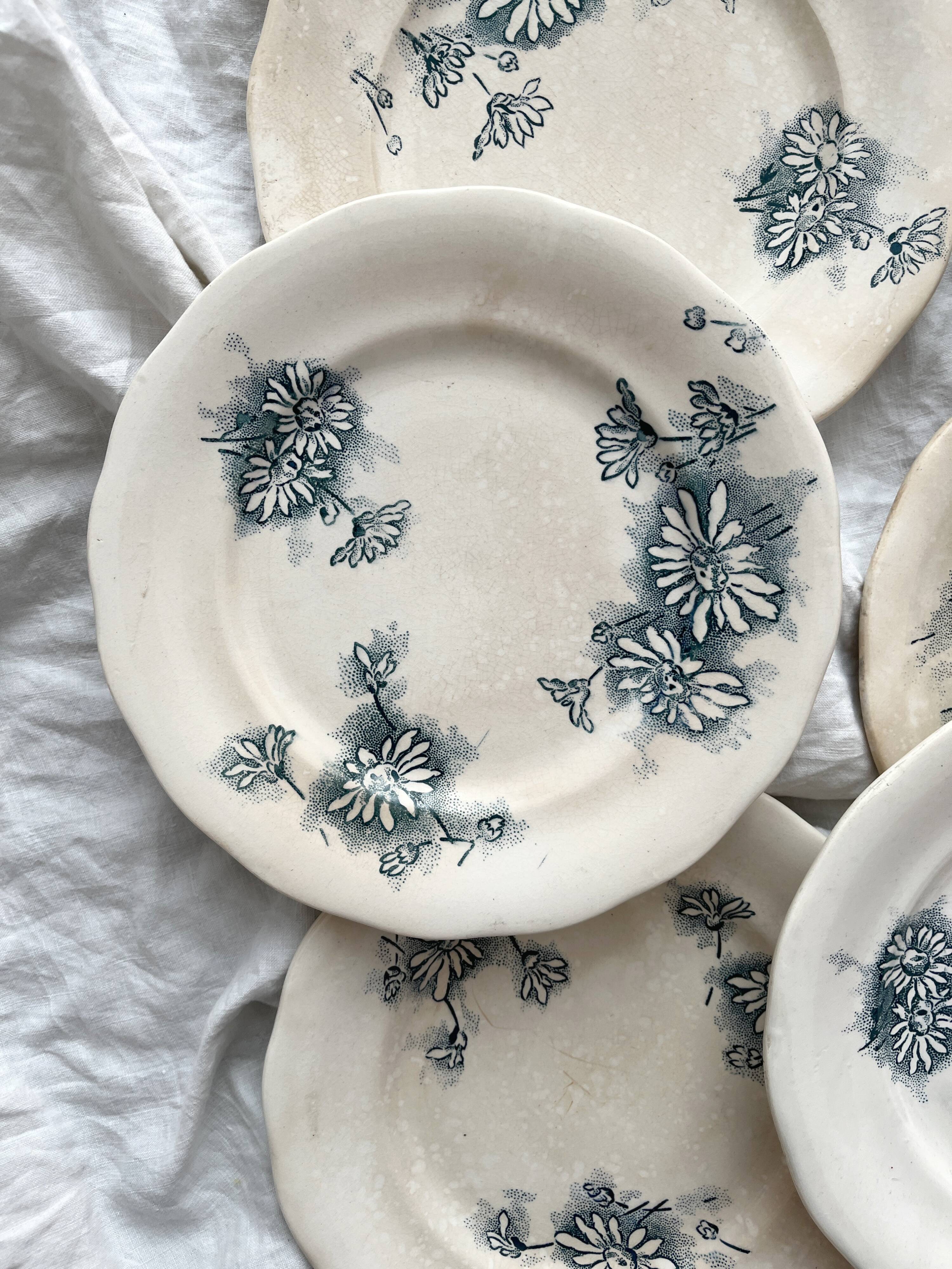 7 "Marguerite" ironstone dessert plates from the Nouvelle Givors pottery factory