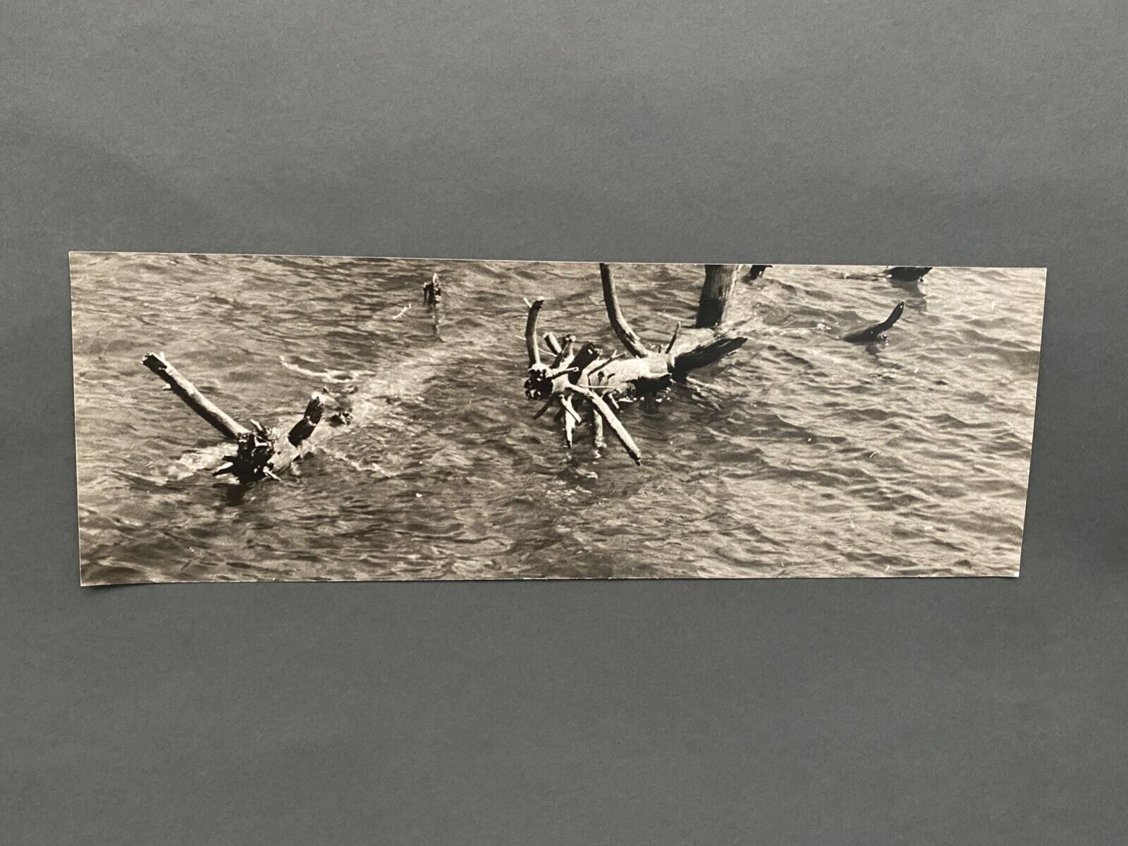 Lot de 3 photos anciennes Bernard Darot Lac Ile Sapins XXe