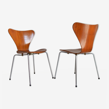2 chairs, series 7, No. 3107 by Arne Jacobsen for Fritz Hansen, Denmark, circa 1955