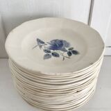 Set of 20 Digoin soup plates, blue rose patterns