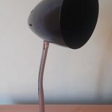 Flexible articulated lamp
