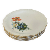Set of 6 Antique Flat Plates Digoin & Sarreguemines - Model RE