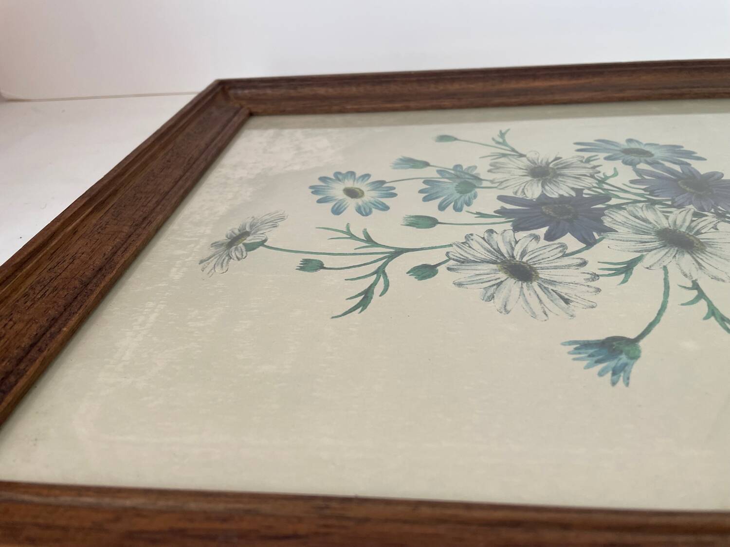 Framed botanical print