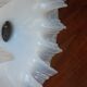 Opaline suspension opalescent glass