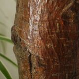 Vase primitif bois vintage