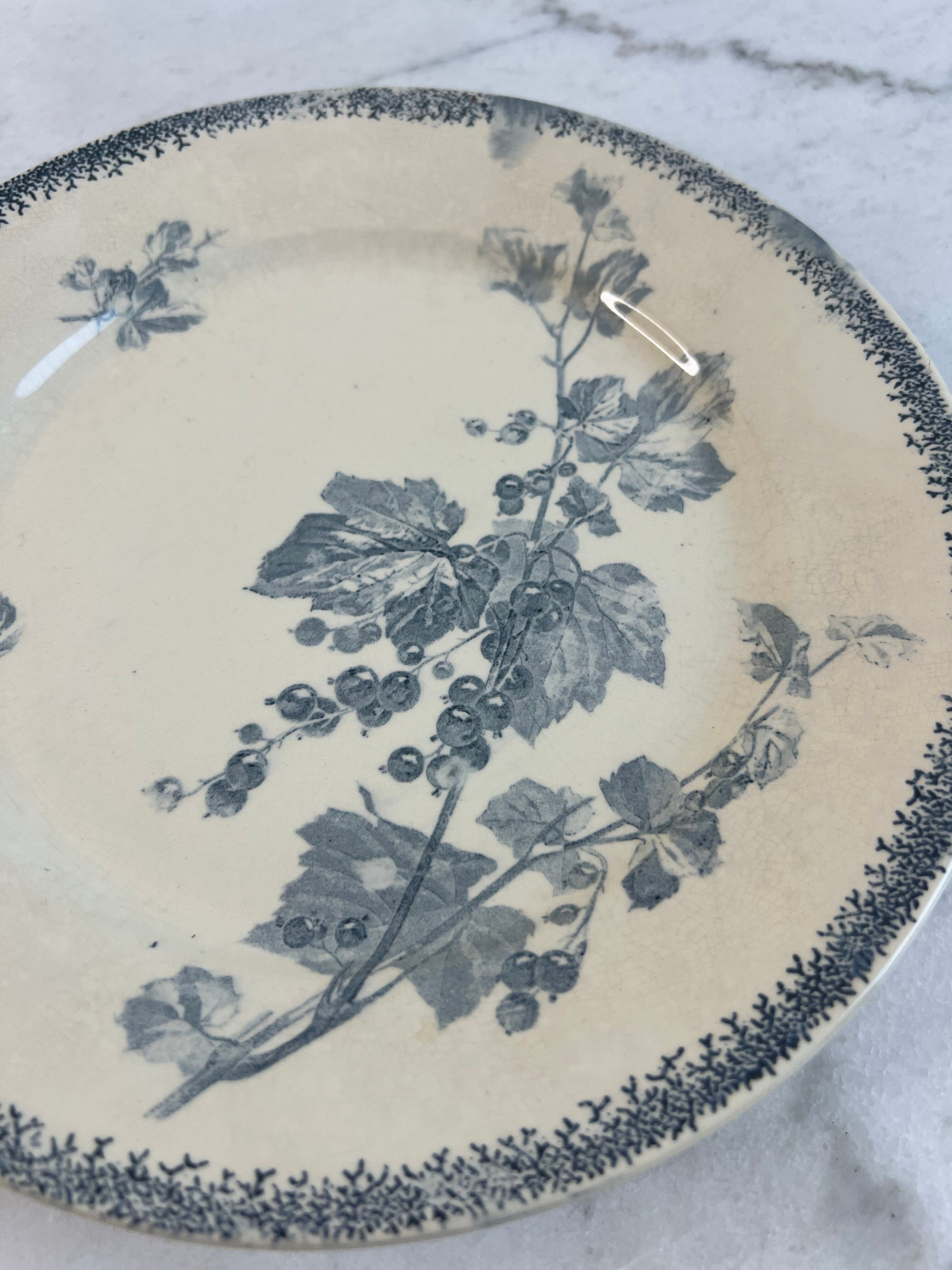 Flat plate Sarreguemines Currants