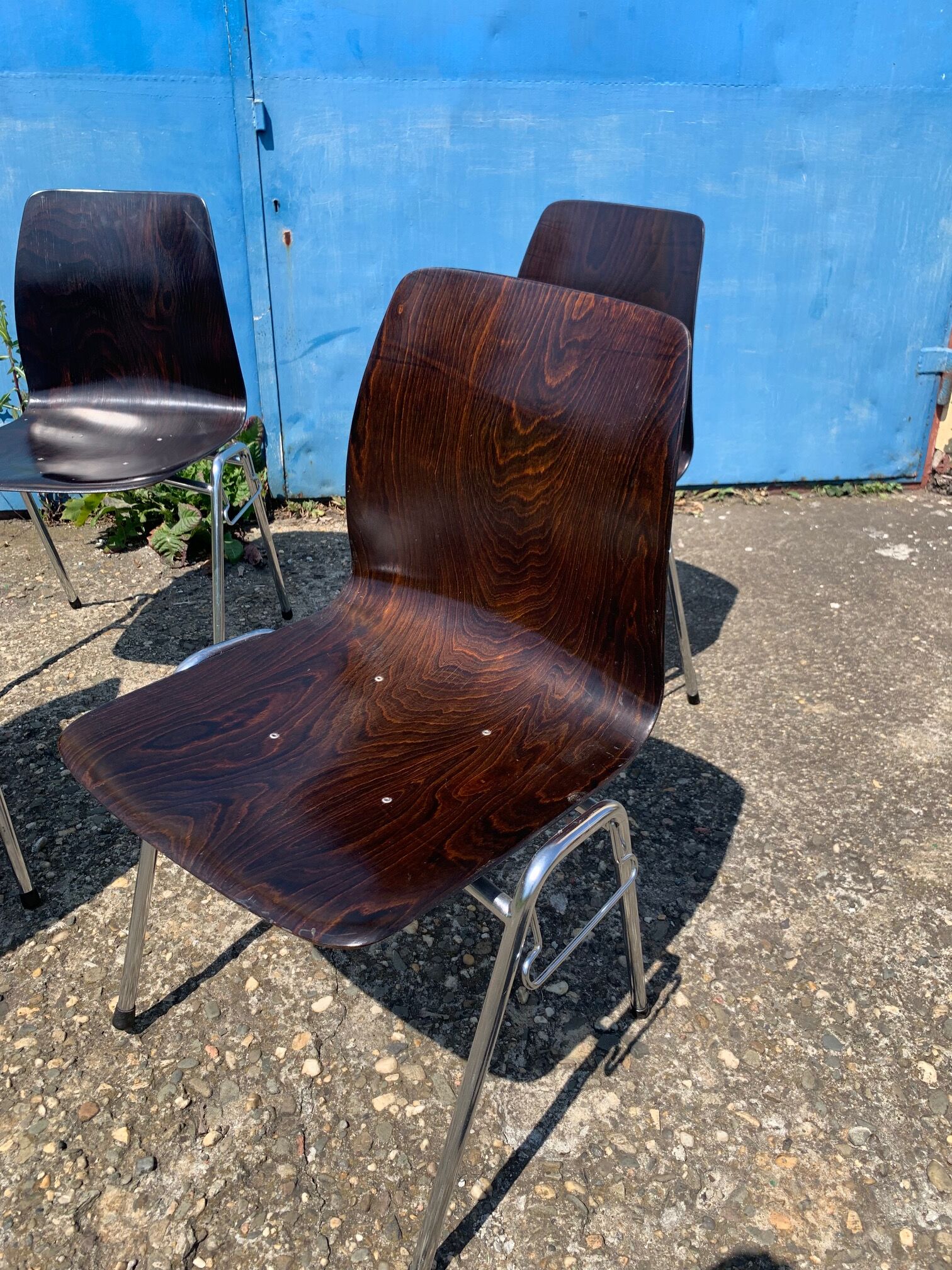 Set of 2 Galvanitas S26 Pagholz chairs, 1960s