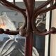 Parrot coat rack