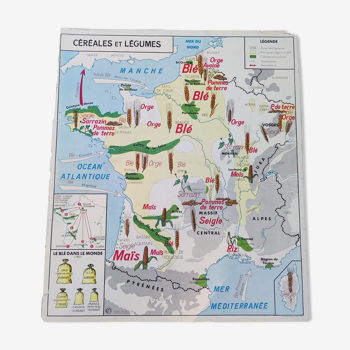 Affiche carte scolaire céréales & légumes La Seine et ses affluents