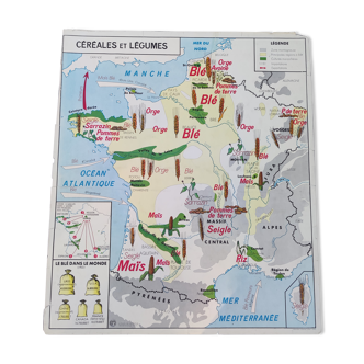 School map poster / Cereals & vegetables / The Seine and its tributaries