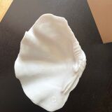 Shell cutting