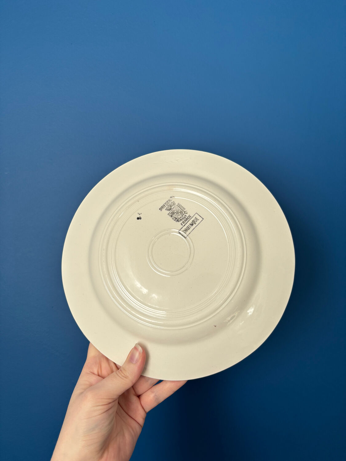 Set of 6 flat plates Sarreguemines & Digoin model Dominique