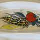 Serving dish with compartments