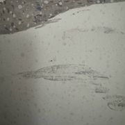 Lithograph by Henri Rivière The Fairyland of Hours - The Snow