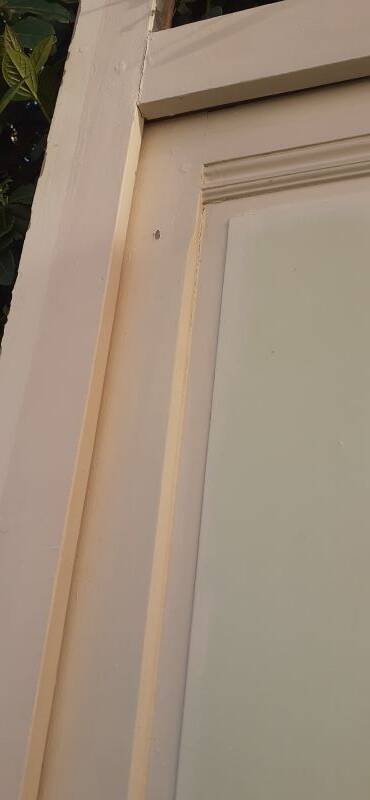 81.2x212 door and old molded paneled communication frame