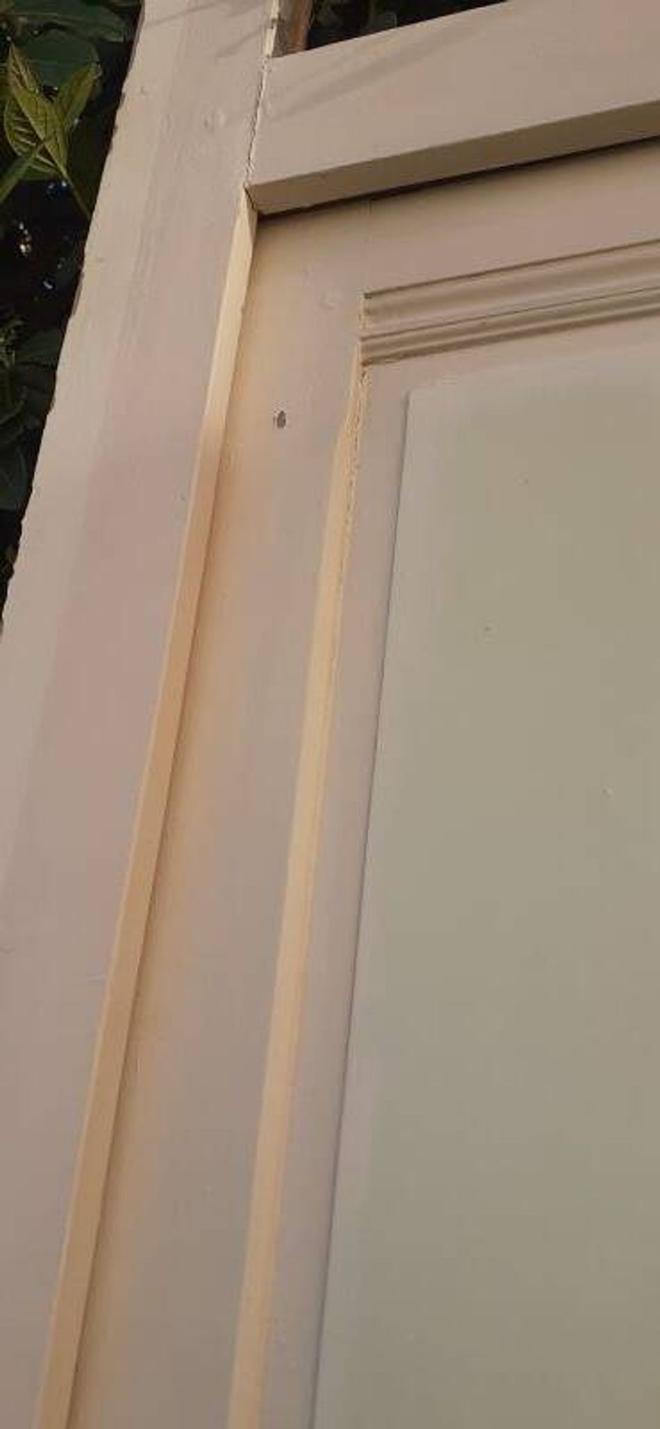 81.2x212 door and old molded paneled communication frame