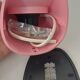 Pair of Tissot wall lights from the 70s with pink opaline glass in space age style.