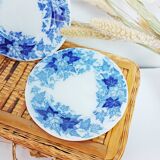 Lot de 5 assiettes à dessert Sarreguemines