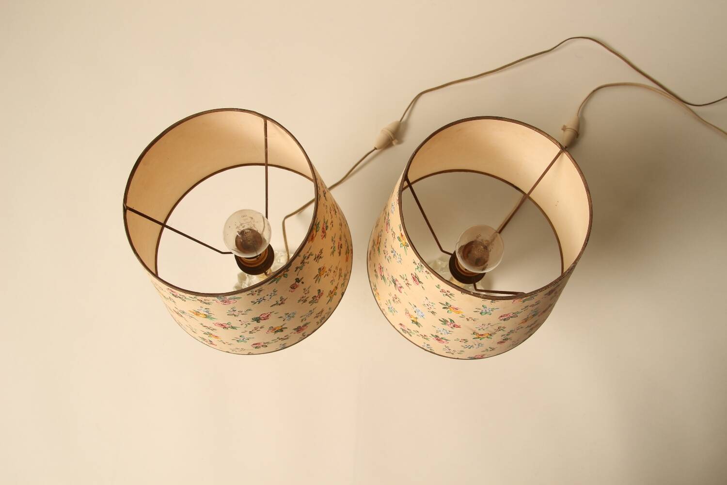Pair of lamps with hand-painted floral shades