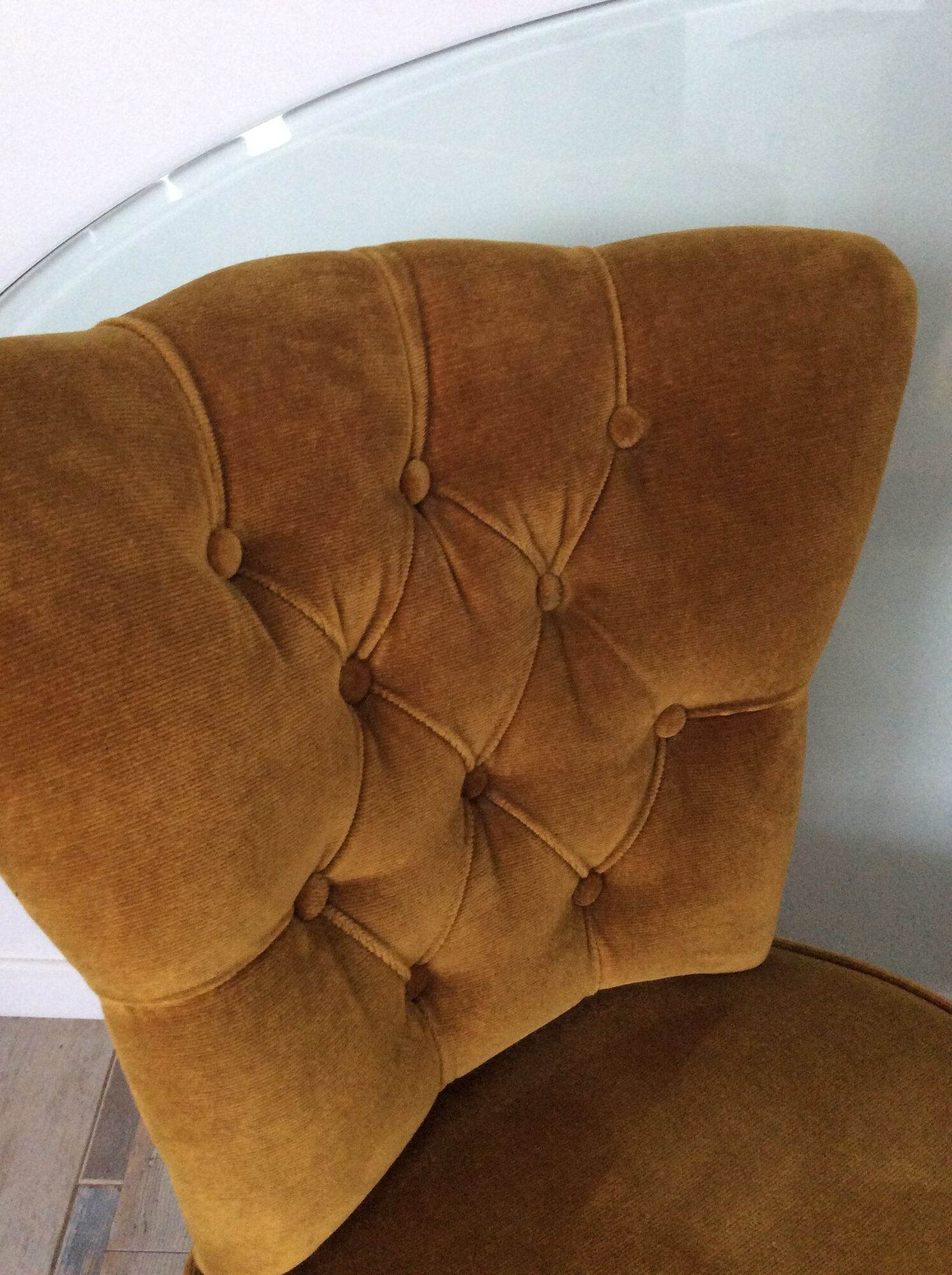 Toad armchair of the 60s and 70s in mustard yellow velvet