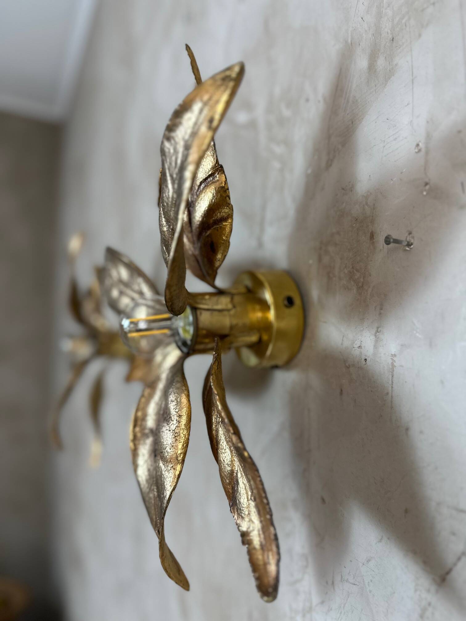 Pair of wall sconces by Willy Daro